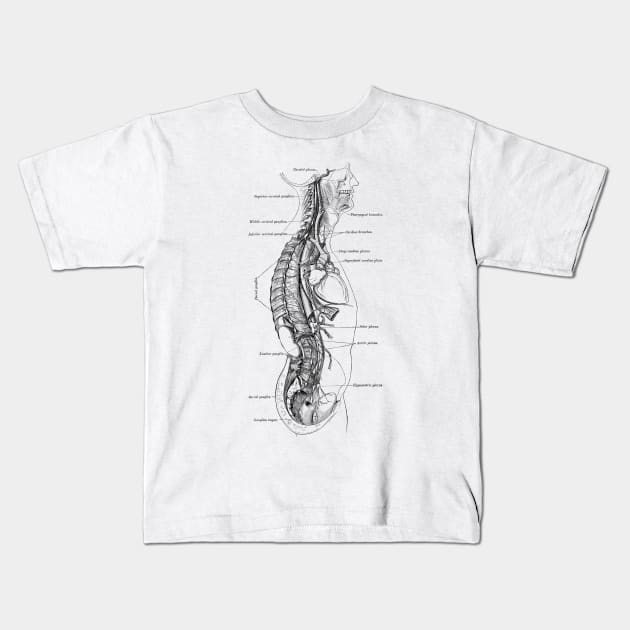 Human Body - Section Kids T-Shirt by be yourself. design